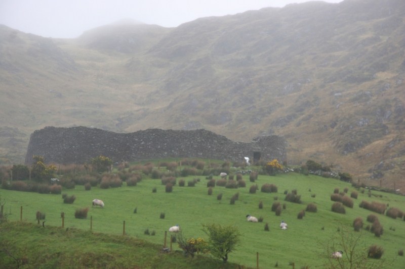 Countryside Ireland 1.jpg